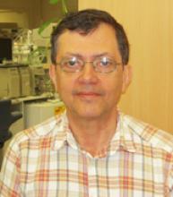 José Ribeiro, M.D., Ph.D.