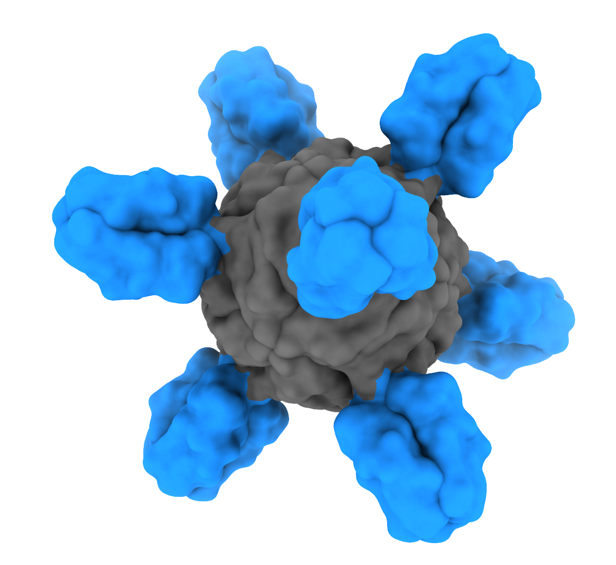 Model of the H1ssF nanoparticle.