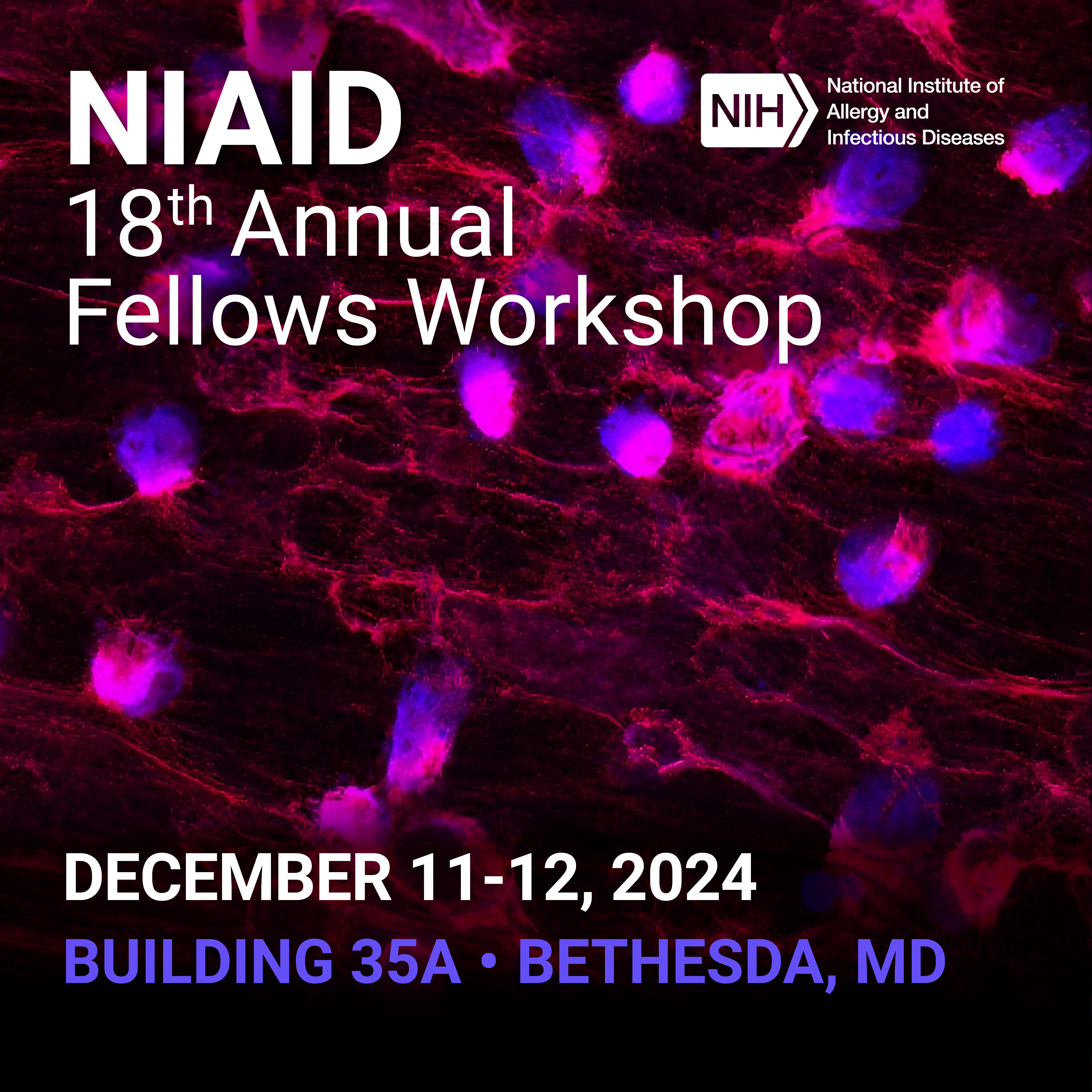 Graphic reads, "NIAID 18th Annual Fellows Workshop. December 11-12, 2024. Building 35A. Bethesda, MD"