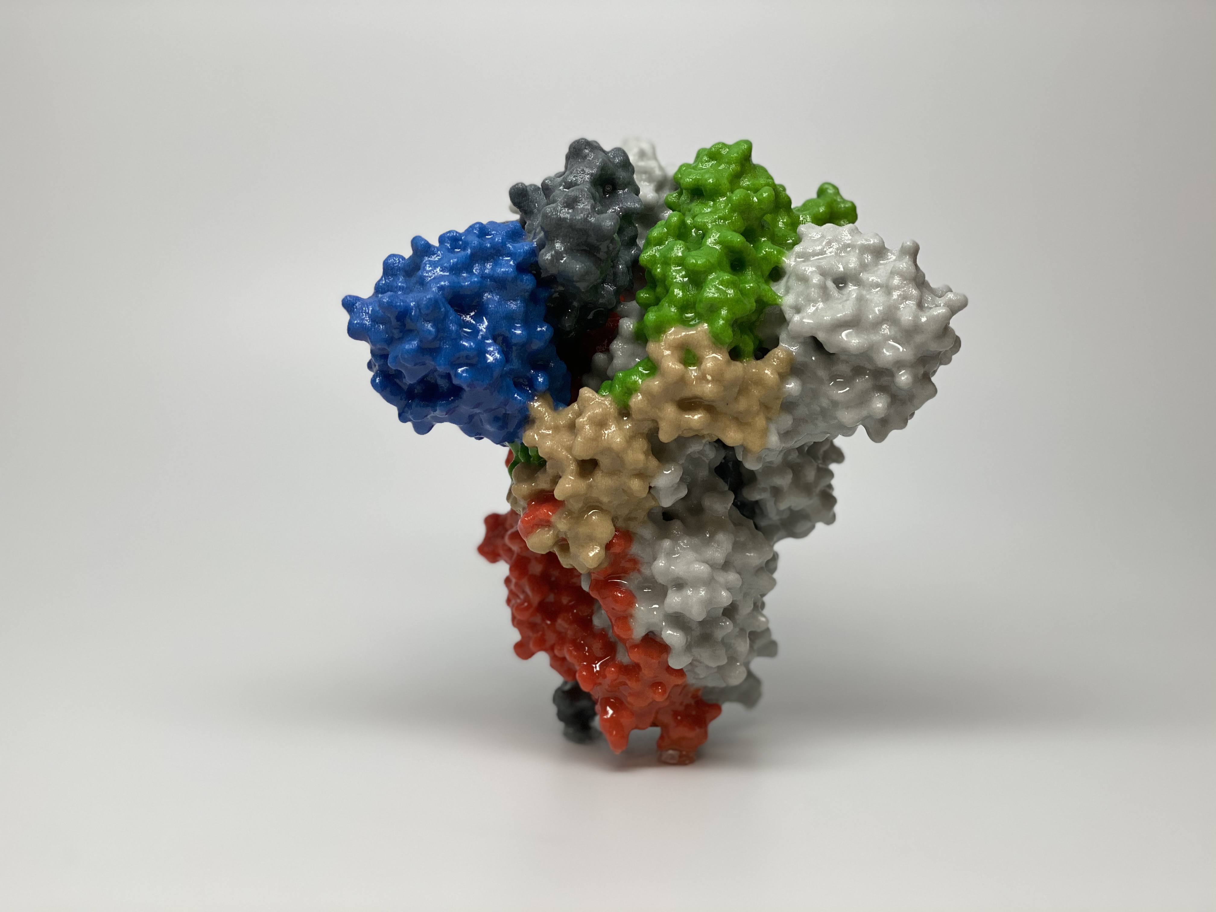 3D print of a spike protein on the surface of SARS-CoV-2—also known as 2019-nCoV, the virus that causes COVID-19.