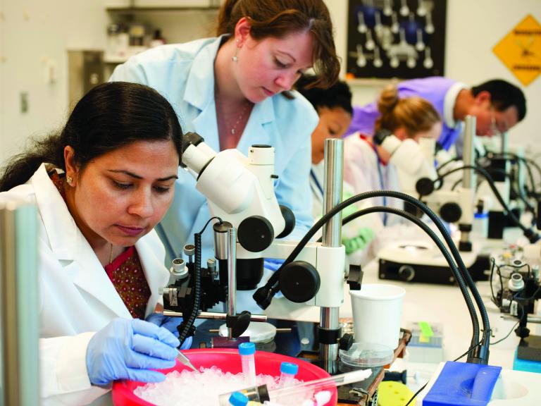 Scientists working in a lab