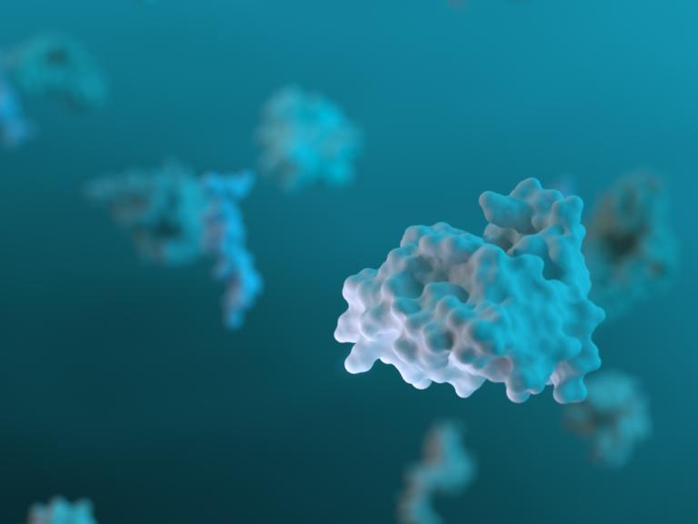 Image of a protein