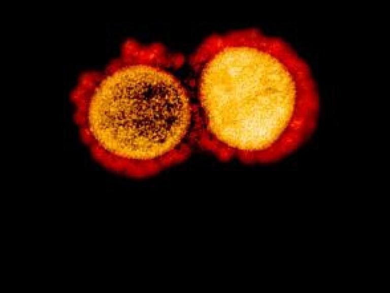 A red and yellow image of the novel coronavirus on a black background.