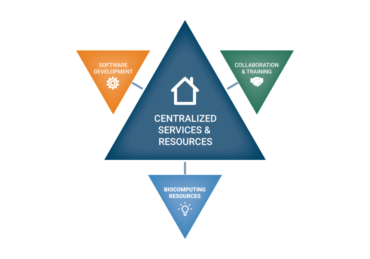 a large triangle in the center with "Centralized Services & Resources" in the center. Surrounding it are three triangles reading from upper left clockwise: 1) software development, 2) collaboration & training, 3) biocomputing resources