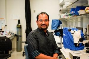 Gaurav Shrivastava, Ph.D. Postdoctoral Fellow in the Molecular Entomology Unit of the Laboratory of Malaria and Vector Research