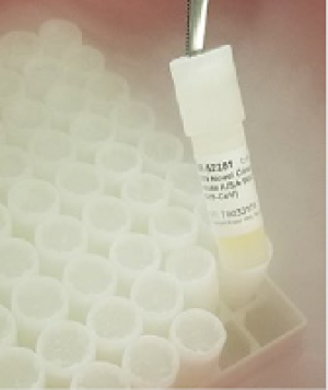 A vial from Washington State SARS-CoV-2 isolate.