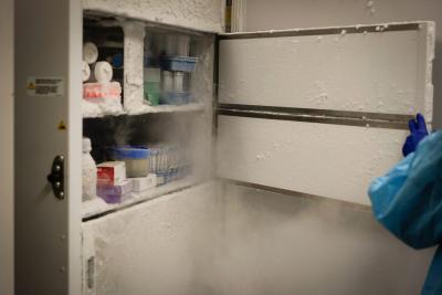 Researcher opens freezer door