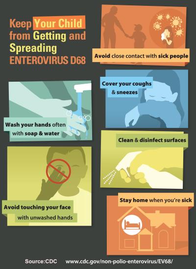 CDC poster showing how to prevent getting and spreading EV-D68