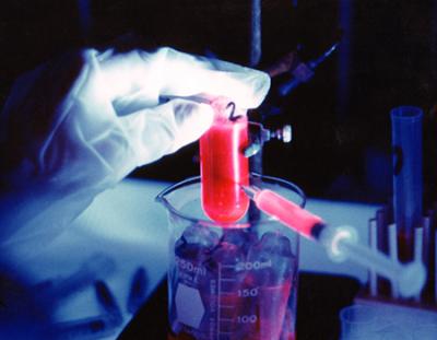 A close-up image (gloved hand and test tube) of scientist studying varicella zoster virus (VZV), the cause of chickenpox and shingles.