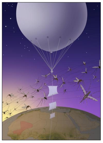 A tethered helium balloon carrying sticky nets we have been using to intercept flying mosquitoes among other insects at altitude to monitor migrant activity, pathogens they carry, and impact on public health, food security, and ecosystem stability.