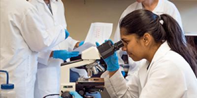 A scientist looking through a microscope