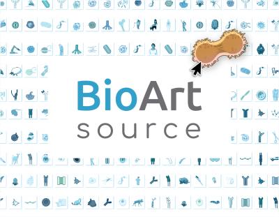 The words "BioArt Source" surrounded by blue examples of the illustrations available in the library. In one corner, a mouse pointer clicks an illustration of a dividing cell.