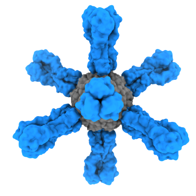 Computer-generated image shows influenza virus hemagglutinin HA epitopes arrayed on a nanoparticle