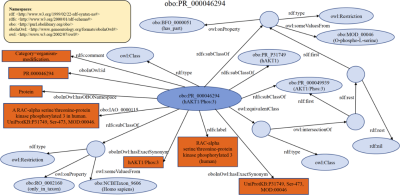 A knowledge graph depicting the relationships between protein-related entities.