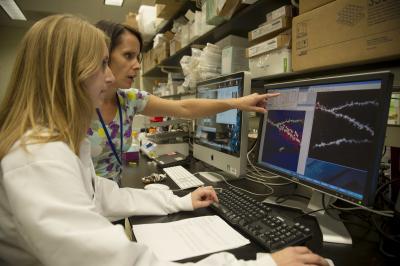 Two researchers look at data on a computer.