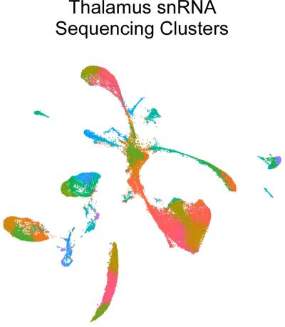 A Uniform Manifold Approximation and Projection (UMAP) of single nuclei RNA (snRNA) sequencing analysis of uninfected and prion-infected mouse thalamus depicting 43 transcriptional clusters from >69,000 nuclei examined.