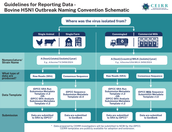 Guidelines for sharing data from the bovine H5N1 outbreak through the CEIRR network. 