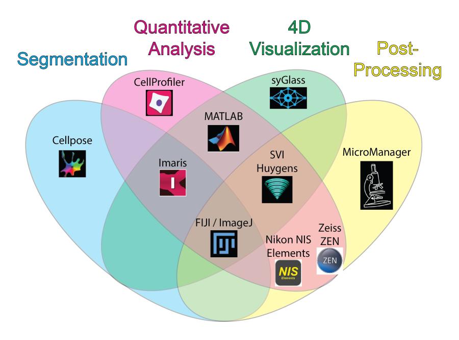 Venn diagram showing the overlap of segmentation, qualitative analysis, 4D visualization, and post processing. The table linked above offers an accessible version of the information.