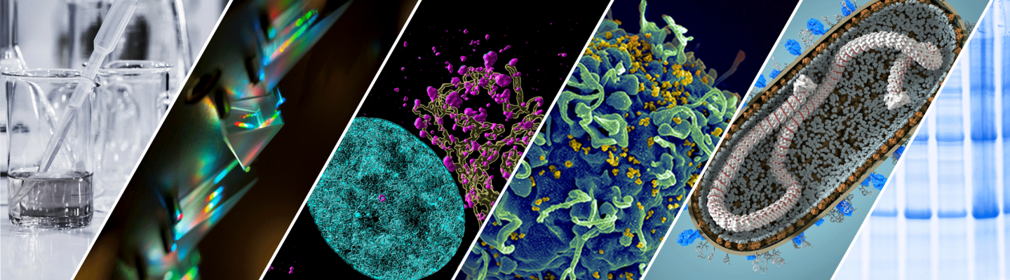 a series of cellular images and scientific equipment