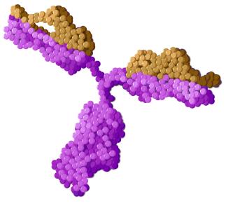 Illustration of three-pronged purple and brown figure
