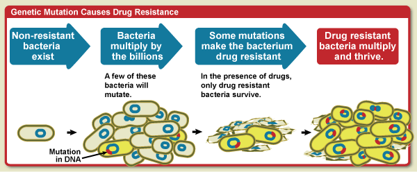 An illustrative diagram that shows how genetic mutation causes drug resistance