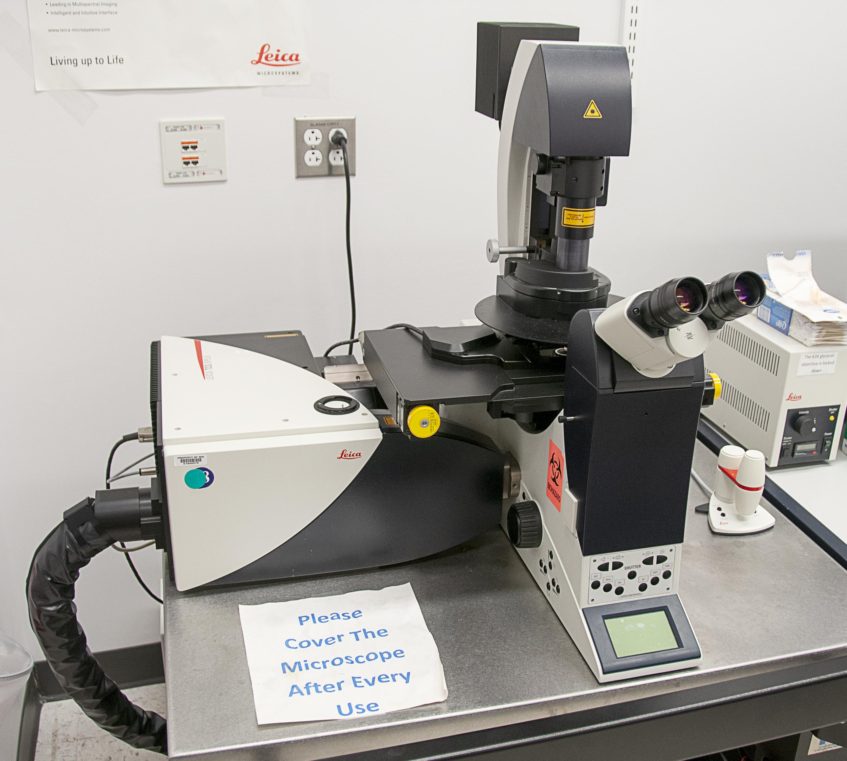 Leica SP5 TCS-2 confocal microscope and integrated DMI6000 camera system with five internal fluorescent detectors, two HyD high sensitivity detectors, and transmitted light detector with laser lines 405, 458, 476, 488, 514, 561, 594, and 633.