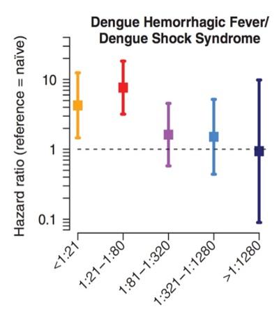  Dengue Hemorrhagic Fever