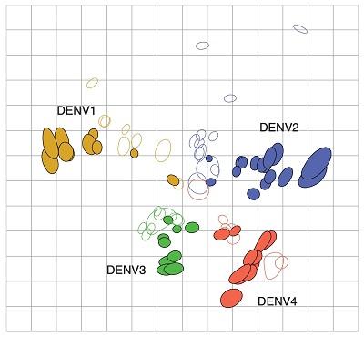 DENV Antigenic Map