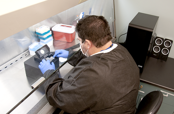 Tony prepares a chamber slide in the BSL-2 laboratory. These slides are used for imaging with the ONI Nanoimager S super-resolution microscope.