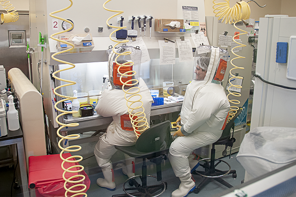 Erika and Tony work in the biosafety cabinet within the BSL-4 laboratory to isolate and stain cells attained from tissues collected during necropsy; subsequently, the cells will be analyzed via flow cytometry.