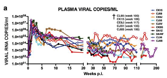 Plasma Viral Copies / ML