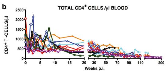 Total CD4+ Cells/jul Blood