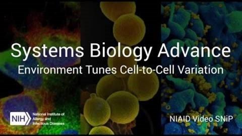 Systems Biology