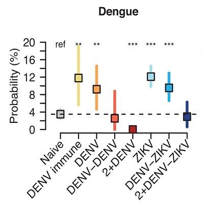 Zika DENV Image