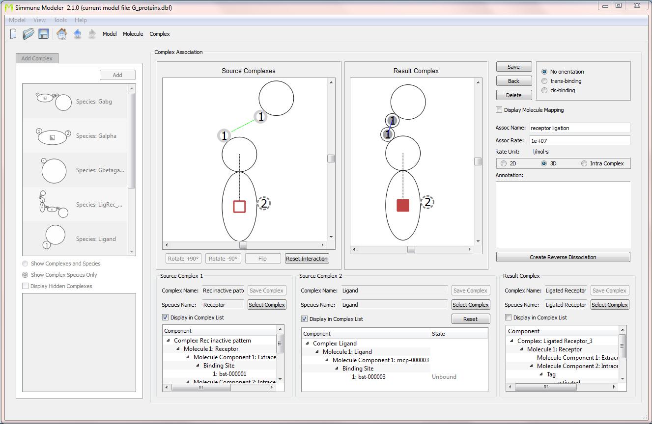 Screenshot of the interface for defining reactions (here: an association) between molecular complexes. The association between a receptor and its ligand is shown. 