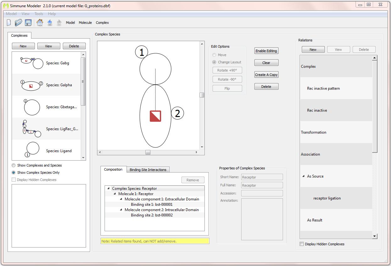 Screenshot of the interface for defining molecular complexes. Here, a single-molecular complex consisting of a trans-membrane receptor with one intra-cellular and one extra-cellular binding site is shown. 