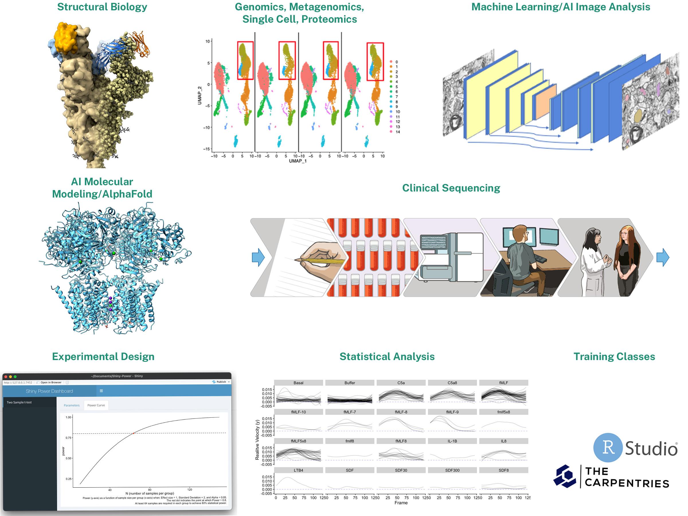 a series of graphics showing the variety of collaborative technological resources offered by IDSS