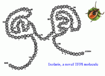 Ixolaris, a novel TFPI molecule