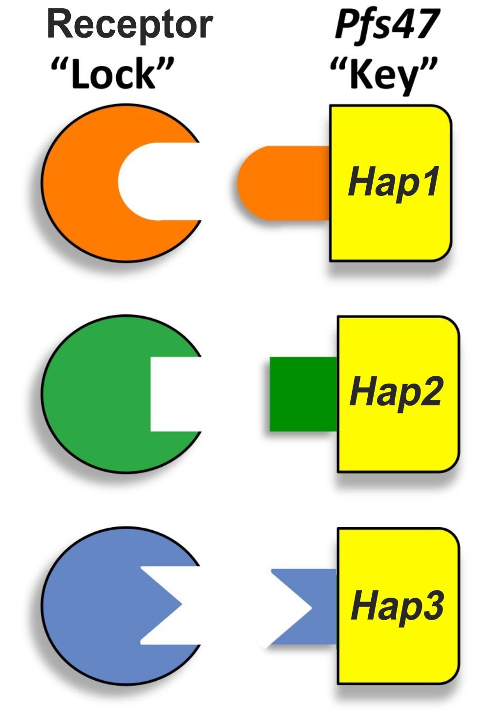 Image of LK CMB2