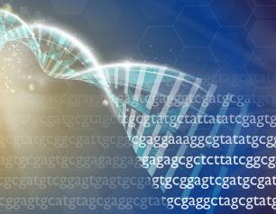 The image shows the letters of a genetic sequence.