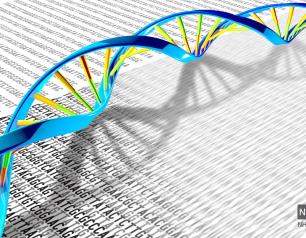 A DNA double helix rests on a print-out illustration of the DNA letters A, T, C and G.