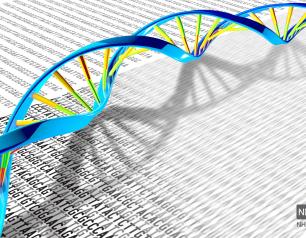 Three-dimensional DNA double helix rests on a flat white page with black letters.