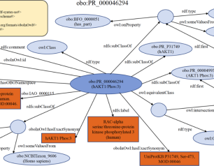 A knowledge graph depicting the relationships between protein-related entities.