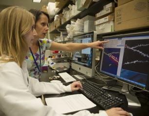 Two researchers look at data on a computer.