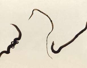 Magnified image of Schistosoma mansoni trematodes