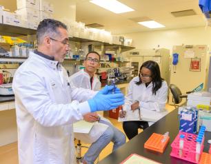 Three scientists in a lab discussing research