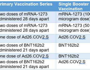 A table showing the COVID-19 vaccine combinations from the “mix & match” study evaluated in this report.