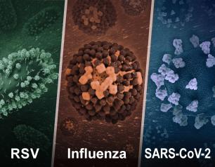 Three 3D images show, left to right, RSV, Influenza, and SARS-CoV-2.