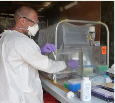 Dr. Vincent Munster working with blood samples of patients suspected of Ebola virus infection during the Ebola virus epidemic in West Africa 2014 – 2015 